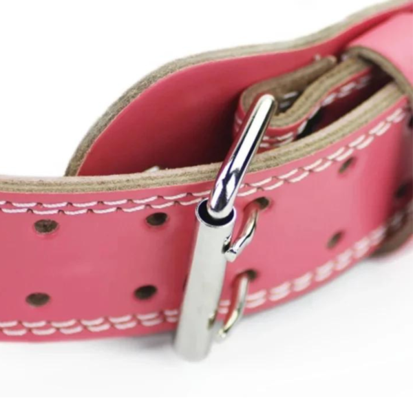 ISG Sports Pink Leder Gürtel – 10mm Dick 4" Breit – Contoured Design mit Doppel-Dornschließe für Powerlifting &amp; Bodybuilding